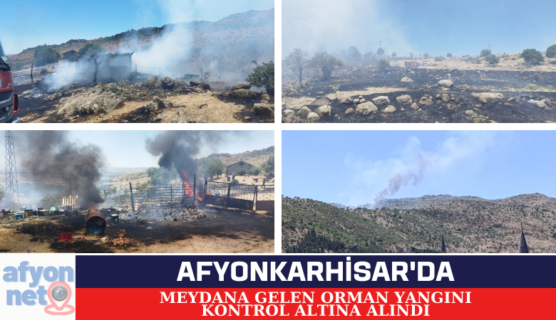 Afyonkarahisar'da Meydana Gelen Orman Yangını Kontrol Altına Alındı